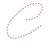 Enrich Software Corp